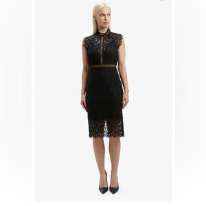 Bardot lace panel dress